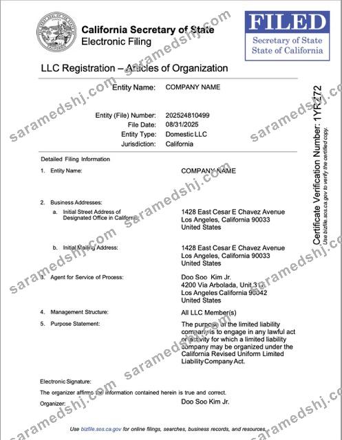 USA California LLC registration Word and PDF template